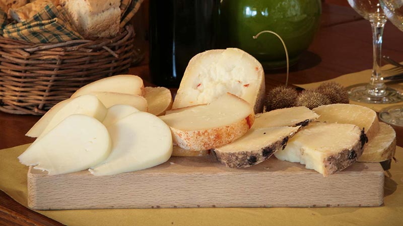 Pecorino di Pienza specialità tipica