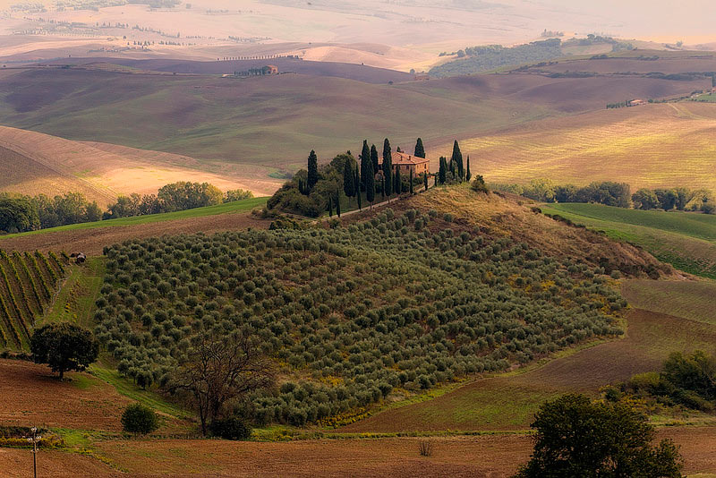 Paesaggio San Quirico d'Orcia