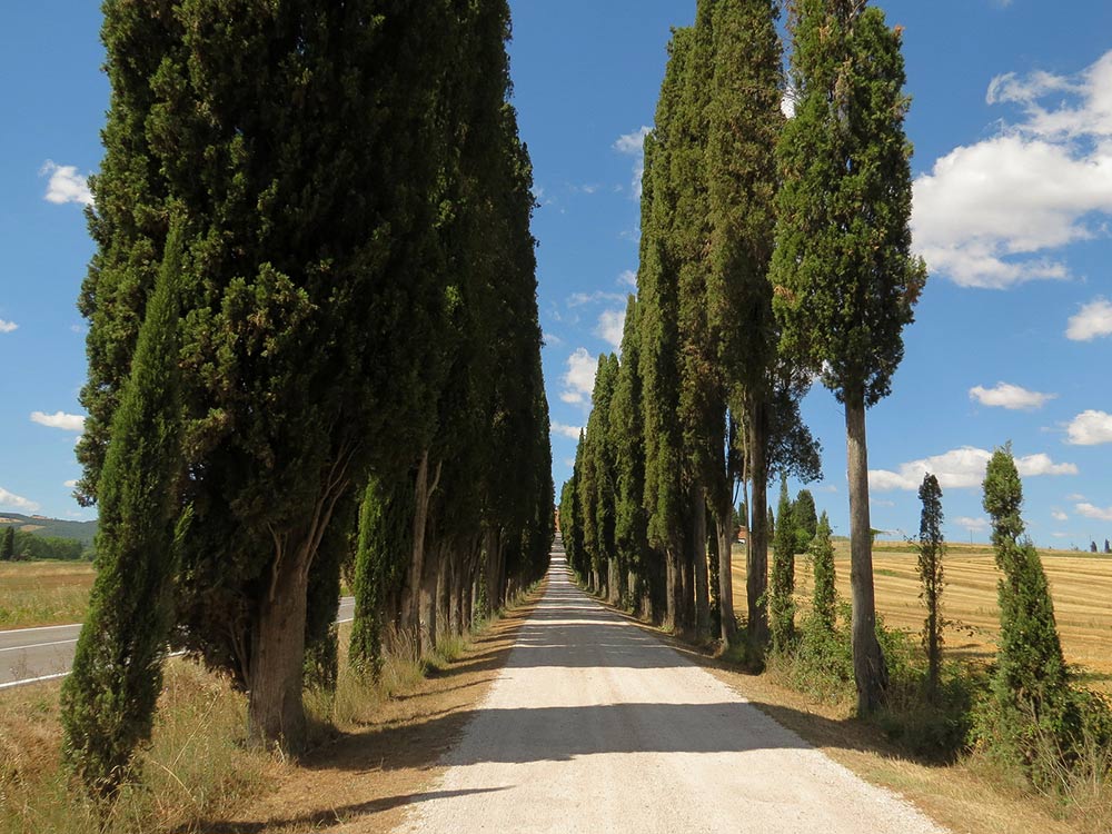 Sinalunga and Rigomagno, two hamlets to discover close to Montepulciano