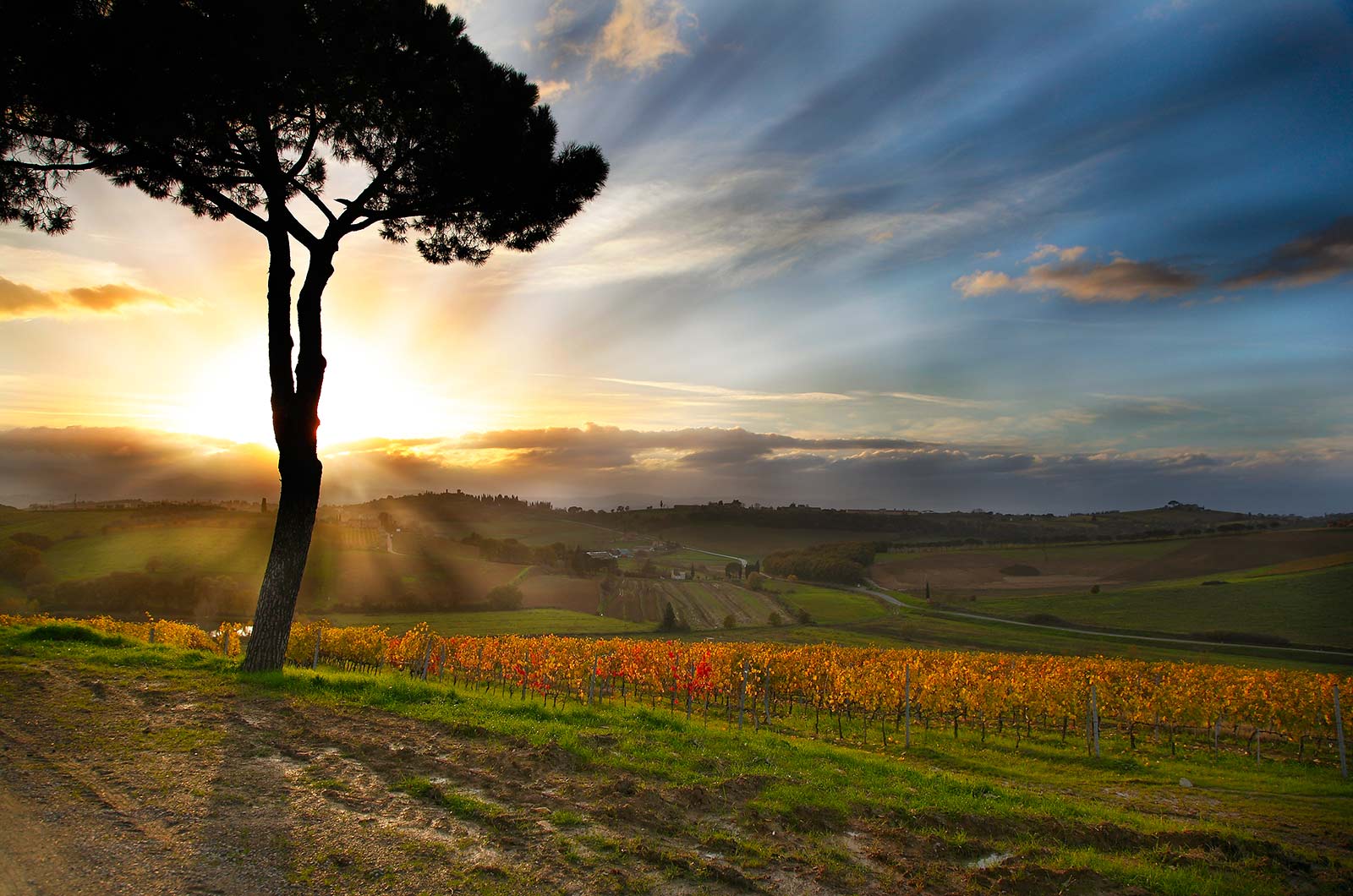 When to visit Montepulciano? A guide for every season