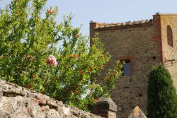 Sinalunga e Rigomagno, tesori da scoprire vicino Montepulciano