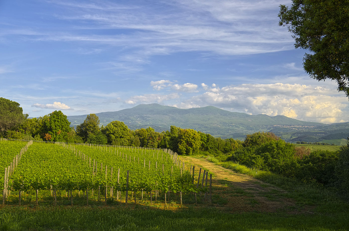 i-borghi-del-monte-amiata-che-meritano-una-visita-borgo-tre-rose