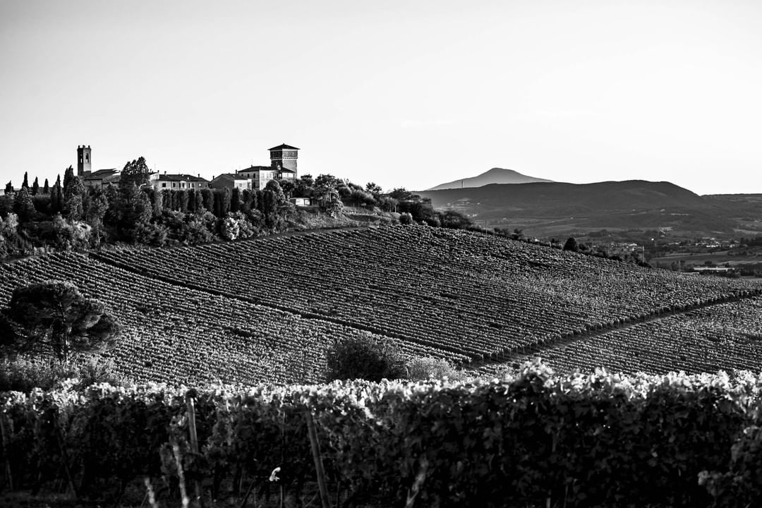 Panorama castello di Valiano