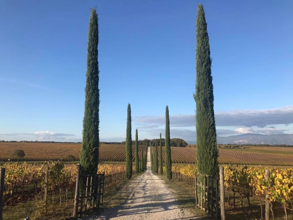 Trekking and hiking paths near Montepulciano