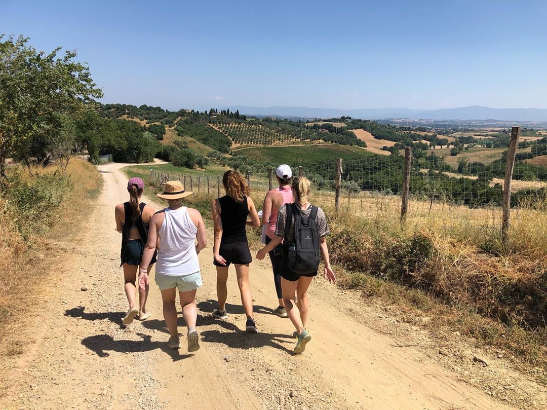 hiking path to Montefollonico