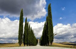 Film girati in Toscana: alla scoperta dei set tra Val di Chiana e Val d'Orcia