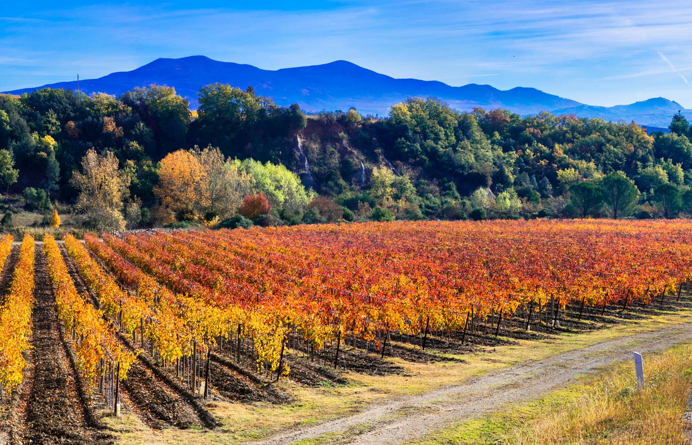 What to do in Montepulciano in autumn